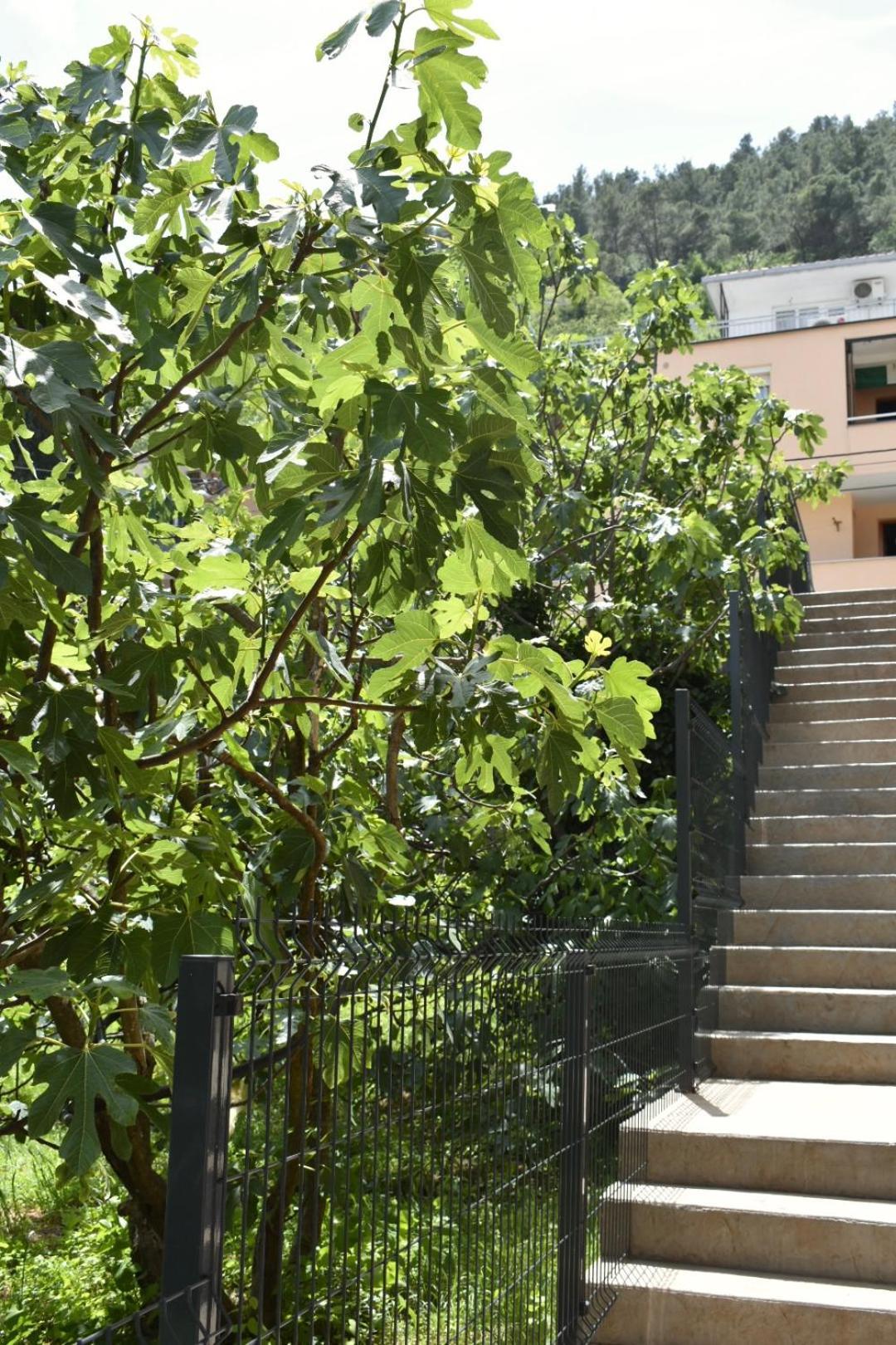 Bel Appartement Mostar